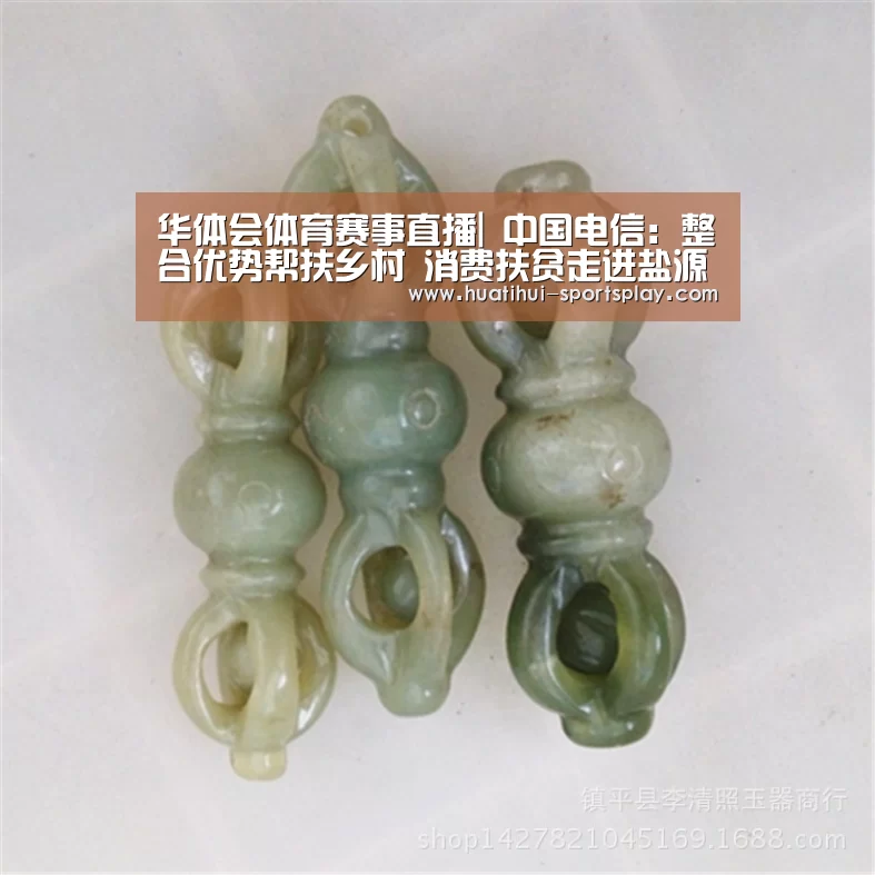 华体会体育赛事直播|
中国电信:整合优势帮扶乡村 消费扶贫走进盐源(图3) 华体会足球竞猜